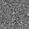2023vny_image