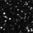 2023vsf_image