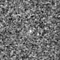2023vwh_image