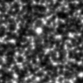 2023vwk_image