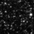 2023vwm_image