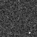 2023vwr_image