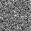 2023wcd_image