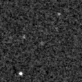 2023wdt_image