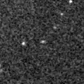 2023wdx_image