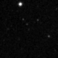 2023wgd_image