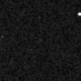 2023wic_image
