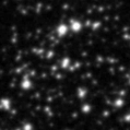 2023wlm_image