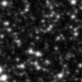 2023wln_image
