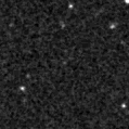 2023wlx_image