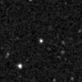 2023wmh_image