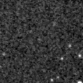 2023wpf_image