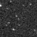 2023wpl_image