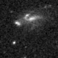 2023wrl_image