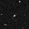 2023wsb_image