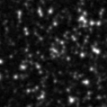 2023wtv_image