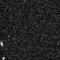 2023wyz_image