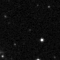 2023wzp_image