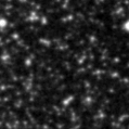 2023xgb_image
