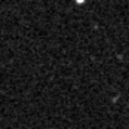 2023xml_image