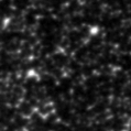 2023xnb_image
