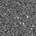2023xnv_image
