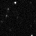 2023xog_image