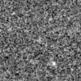 2023xun_image