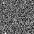 2023xyd_image