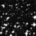 2023xzs_image