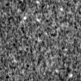2023yaz_image