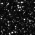2023ydm_image