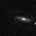 2023yf_image