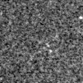 2023yfp_image