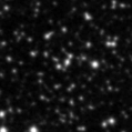 2023ygt_image