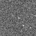 2023yjv_image