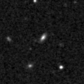 2023yle_image