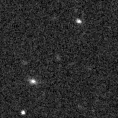 2023ylf_image