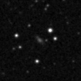 2023ylq_image