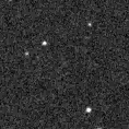 2023ylx_image
