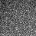 2023ync_image