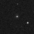 2023ynj_image