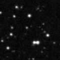 2023ynl_image