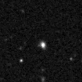 2023ynt_image