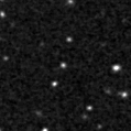 2023ynz_image
