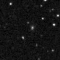 2023yyg_image