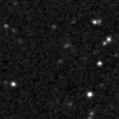 2023yyl_image