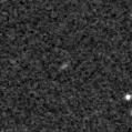 2023zfx_image