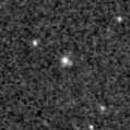 2023zgl_image