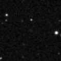 2023zlm_image
